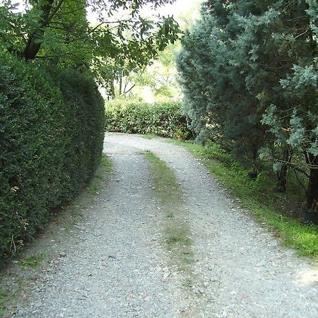 Agriturismo La Querce Риньяно-сулл'Арно Екстер'єр фото